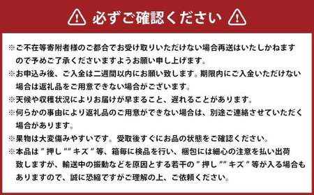 シャインマスカット 晴王 4房（1房480g以上）【2026年8月下旬～10月下旬まで発送予定】 ／ マスカット 葡萄 ぶどう 果物 果実 フルーツ 種なし 皮ごと 大粒 岡山県 美咲町 冷蔵