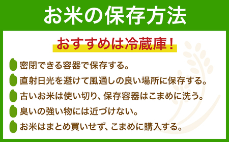 白米 10kg さこんたろう《90日以内に発送予定(土日祝除く)》熊本県 御船町 コメ おこめ 白米 ごはん 熊本県産