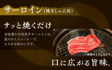 短角牛 サーロイン（焼きしゃぶ用）150g ×4[BEAI094]