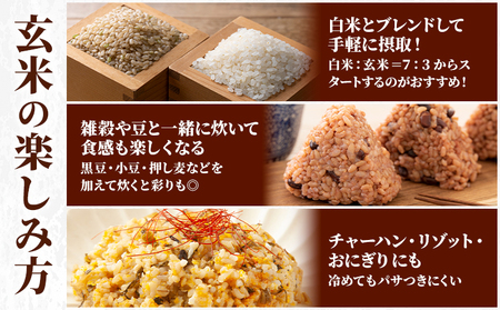 玄米 5kg さこんたろう《90日以内に発送予定(土日祝除く)》熊本県 御船町 コメ おこめ ごはん 熊本県産