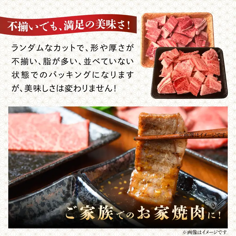 訳あり！【A4～A5】博多和牛焼肉切り落とし(肩ロース・バラ) 500g 肉 お肉 和牛 黒毛和牛 博多和牛 A4 A5 焼肉 肩ロース バラ カルビ BBQ バーベキュー 福岡県 八女市 214-026