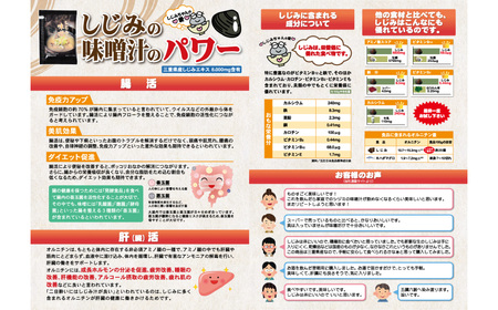 桑名はまぐり屋　しじみの味噌汁40個入りギフトセット
