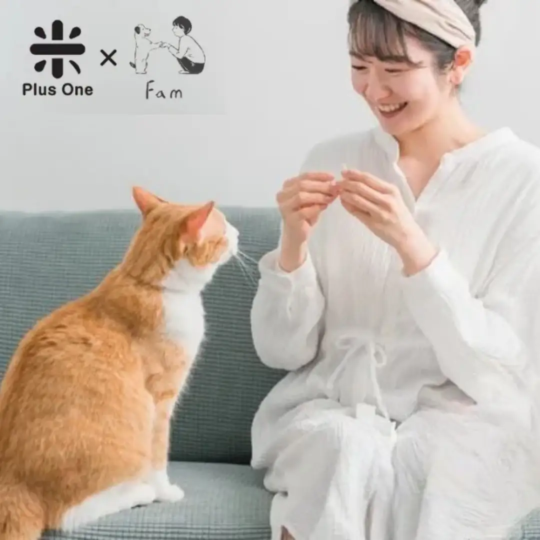 柿の種屋さんのねこちゃんのおやつ　お米と鮭のプレミアムスナック10個セット 阿部幸製菓【0002-0387-01】