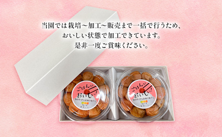 【定期便3ヶ月】八房梅使用 ごはんがおいしい！白干し梅 500g×2パック 梅干し うめぼし 白干し 塩漬け おにぎり 弁当 島田市 静岡県