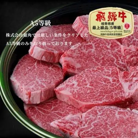【飛騨牛】白銀焼肉用500g【配送不可地域：離島】【1686848】