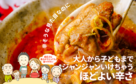 もつ煮 ジャン辛もつ煮 1人前×4個 計900g 前橋市