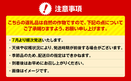 神奈川県 三浦市 産大玉すいか（ 2個 ） M109-007 果物 すいか
