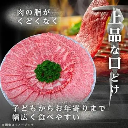 【飛騨牛】白銀焼肉用500g【配送不可地域：離島】【1686744】