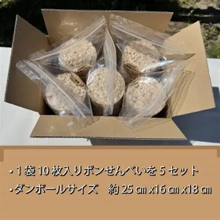 【原材料・玄米のみ】自家製玄米100%使用 ポンせんべい(10枚入り5袋セット)【1620052】