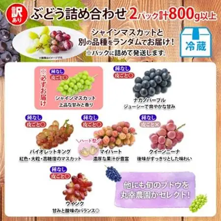 【2026年先行受付】訳あり ぶどう 房 2種 食べ比べ 計2パック(計800g以上) 信州丸幸農園【配送不可地域：離島・沖縄県】【1671026】