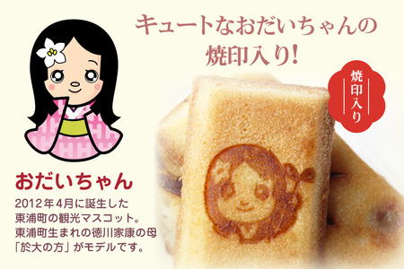おだいちゃんフィナンシェ（9個入り）│フィナンシェ 焼き菓子 洋菓子 ぶどう 摘果ぶどう mottainai お土産 特産 愛知県 東浦町