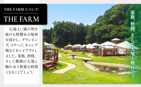 手ぶらでOK!THE FARMの旬の野菜収穫体験引換券(1袋) TFM005