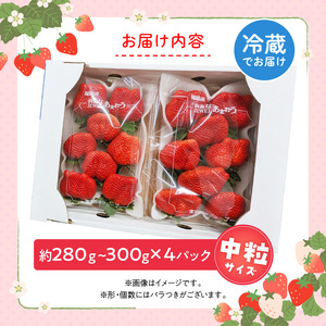 福岡県産あまおういちご　280g～300g×4パック（中粒）【3月～4月発送】 _ いちご あまおう 中粒 4パック 宇佐川農園 果物 フルーツ みずみずしい ジューシー 甘味 酸味 濃厚 ストロベリー パフェ ショートケーキ パンケーキ スムージー サンドイッチ ジャム 福岡県産 久留米市 お取り寄せ 送料無料  〔Fi077-03〕