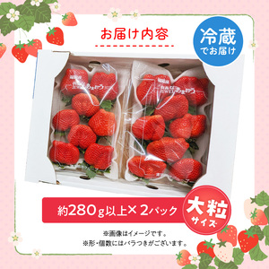 福岡県産あまおういちご　約280g以上×2パック（大粒）【3月～4月発送】 _ いちご あまおう 大粒 2パック 宇佐川農園 果物 フルーツ みずみずしい ジューシー 甘味 酸味 濃厚 ストロベリー パフェ ショートケーキ パンケーキ スムージー サンドイッチ ジャム 福岡県産 久留米市 お取り寄せ 送料無料  〔Fi077-01〕