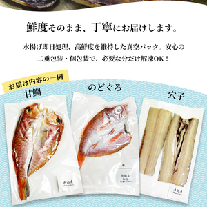 干物 セット6～8種 旬の魚 干物 詰合せ 