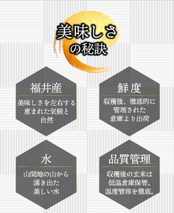 【定期便3回】ハナエチゼン  10kg（10kg×1）令和7年産 [095-t3-a007]