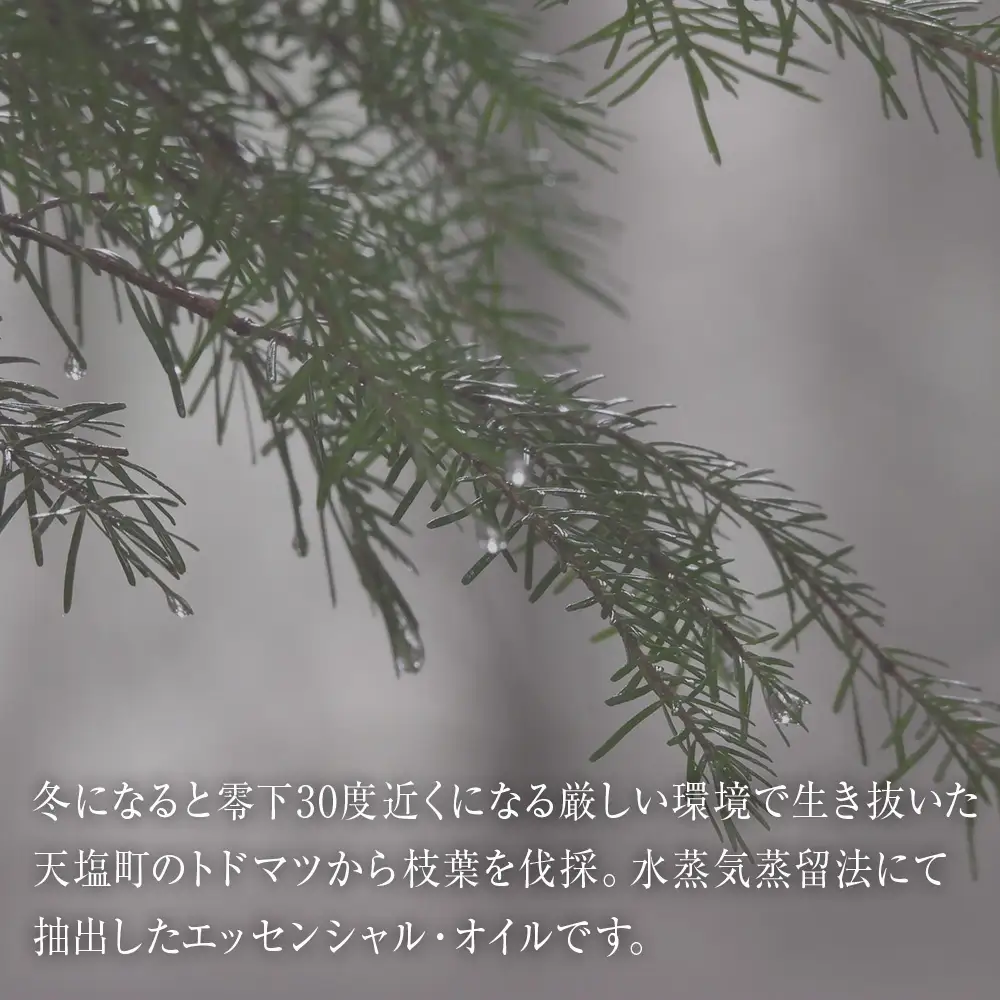 最北のトドマツ精油４ml エッセンシャル・オイル トドマツ