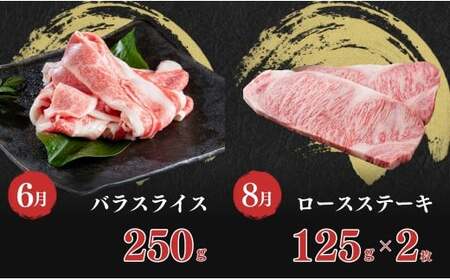 【佐賀牛定期便！偶数月にお届け☆】食卓彩り定期便 通年6回コース【有田まちづくり公社】佐賀牛 牛肉 黒毛和牛 極上の佐賀牛 厳選 お肉 おにく カルビ焼肉 ロースブロック バラスライス ロースステーキ しゃぶしゃぶ ハンバーグ 6回 定期便 ギフト 贈り物 贈答 10万円 N100-21