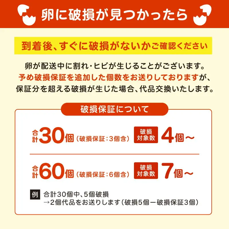 むらかみ農園の赤玉たまご60個_Y140-0002