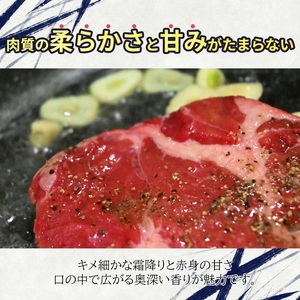 飛騨牛 切り落とし 500g | 岐阜県 北方町