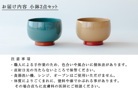 【数量限定・在庫限りで受付終了】【ふるさと納税限定】aisomo cosomo 小鉢2点セット モスグリーン×オレンジ / ベージュ×ピンク ツートンカラーのPOPな越前漆器＜100%天然漆＞【老舗塗師屋創業230年】