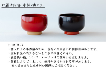 【数量限定・在庫限りで受付終了】【ふるさと納税限定】aisomo cosomo 小鉢2点セット レッド×ベージュ / 溜×オレンジ ツートンカラーのPOPな越前漆器＜100%天然漆＞【老舗塗師屋創業230年】