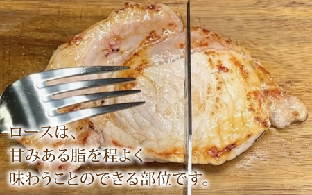 若狭牛サーロインステーキとふくいポークロースステーキセット（ステーキソース付） [A-108006] / 肉 国産 黒毛和牛 若狭牛 豚肉 ロース 冷凍 国産 ホクチク 真空パック キャンプ アウトドア バーベキュー フェス BBQ ブランド肉 福井 のし送料無料 