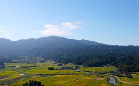 【令和7年産】【3ヶ月定期便】元気つくし お米  合計15kg (5kg×3回)【2025年11月上旬から順次発送予定】