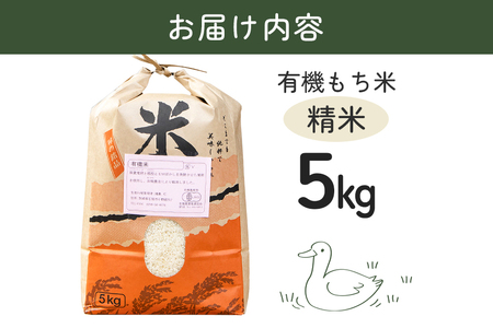 【令和7年産】有機もち米 精米5kg お米 米 白米 もち米 ご飯 ごはん 国産米 産地直送 茨城県 石岡市 B03-005