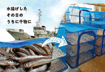 形原漁港直送　深海からの贈り物　深海ギョのふりかけ　三種セット_【G0483】
