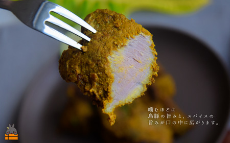 月桃（げっとう）と19種のスパイス薫る 徳之島の島豚スパイス焼 1,800g ( MARUHACHI スパイス ハーブ 月桃 島豚 豚肉 料理 冷凍食品 徳之島 奄美 鹿児島 )