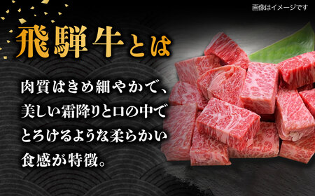【6月発送】飛騨牛 サイコロステーキ 部位おまかせ 500g A5等級 和牛 ブランド牛 国産 牛肉 多治見市 / 渡辺精肉店 [TAZ038-6]