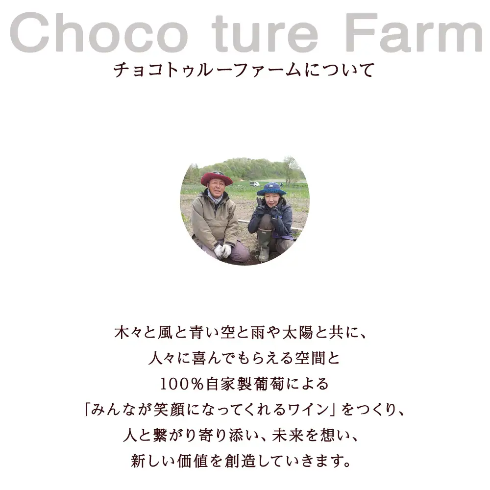 千歳ワイン2021（Chitose Wine）750ml 1本※ギフトボックス無し