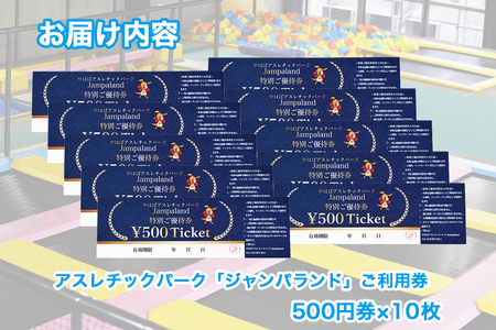 大人から子どもまで本気で遊べる！やはばアスレチックパークjampaland(ジャンパランド)利用券　500円券×10枚/アスレチックパーク jampaland ジャンパランド トランポリン スポンジピット ボルダリング スラックライン バトルビーム チケット 回数券 矢巾町