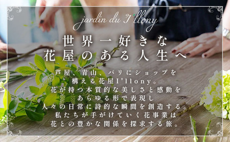  アイロニー 季節の花束《Romantic》直径約40cm  