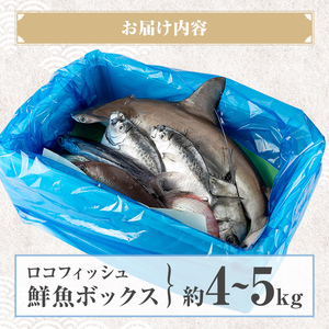 【B78001】ロコフィッシュ 地魚 下処理済 鮮魚 ボックス 約4～5kg 発泡スチロール包装 鮮魚BOX 【昌徳丸】