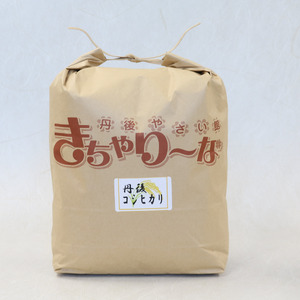 【玄米】令和7年産 丹後コシヒカリ 玄米 5kg
