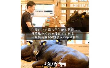 美熊野牛 サーロインステーキ 約300g×2枚 牛肉 【okad0010】
