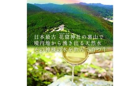 【3回定期便G】牛肉 美熊野牛 牛肉定期便【okad-tkb0017】