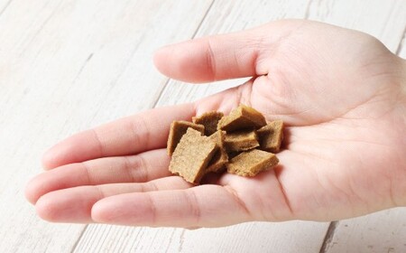 【愛犬用】骨までホロッと鰊ちっぷ 約75g 15g×5袋 ペット 愛犬 犬 いぬ 愛犬 わんちゃん ワンちゃん 魚 お魚 さかな 鰊 にしん ニシン えさ 餌 チップ ヘルシー ビタミン 核酸 真空 おやつ 北海道 小樽市 常温