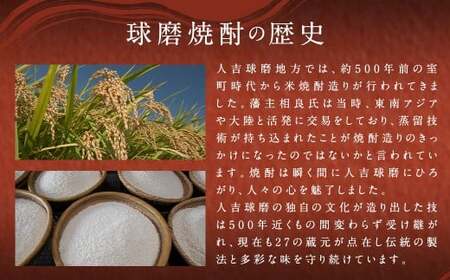 【14営業日以内発送予定】限定川辺 1,800ml 焼酎 2本 セット 米焼酎