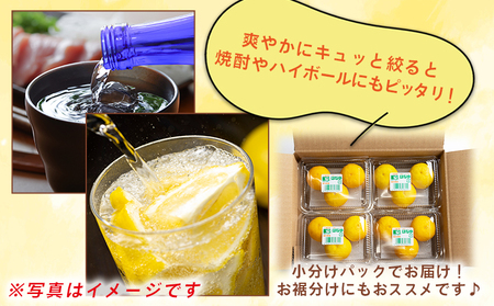 【2026年11月以降順次配送】柚子 花柚子(黄玉) 16パック 国産 柑橘 hy-0004
