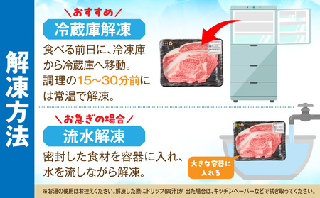 牛肉 ステーキ 牛肉[宮崎牛 サーロイン 800g]