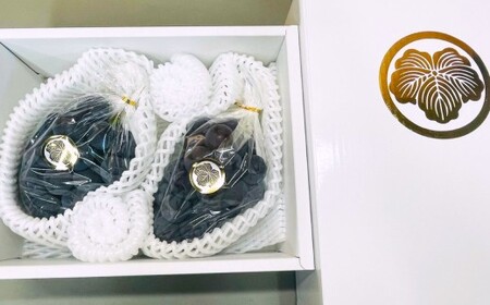 【先行予約】 岡山県産 ニューピオーネ 2kg 1箱 ／ ぶどう ブドウ フルーツ 【2026年8月下旬-9月下旬発送予定】 