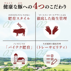 【茨城県共通返礼品/鉾田市】国産まごころ豚コマ1.2kg (400ｇ×3) | 甘い おいしい 良品質 最上級 茨城県産(92-08)