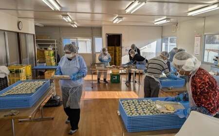 乾燥りんご 「ソフトチップ りんごさん」 30g×3袋 輪切り お菓子 おやつ 作業所きらり