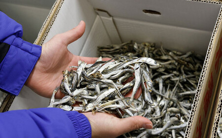 瀬戸内海産 手作りアーモンド小魚 （大袋）【4袋】 計約1,480g アーモンド 小魚 いりこ かたくちいわし お菓子 おやつ おつまみ 手作り 愛媛県 常温 （895）
