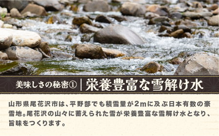 令和7年産 精米 つや姫 10kg kn-tssxa10