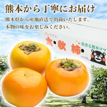 太秋柿 4～8玉 約2kg(益城町)【配送不可地域：離島】【1687215】
