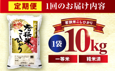 【3回定期便】 福井県産 コシヒカリ 精米 (白米) 10kg 一等級　福井県米 /甘みと粘りが際立つ 王道米 こしひかり 小浜市 / 若狭ふれあい市場[BFEL031]